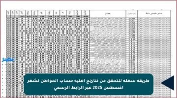 طريقة سهلة للتحقق من نتائج أهلية حساب المواطن لشهر أغسطس 2025 عبر الرابط الرسمي